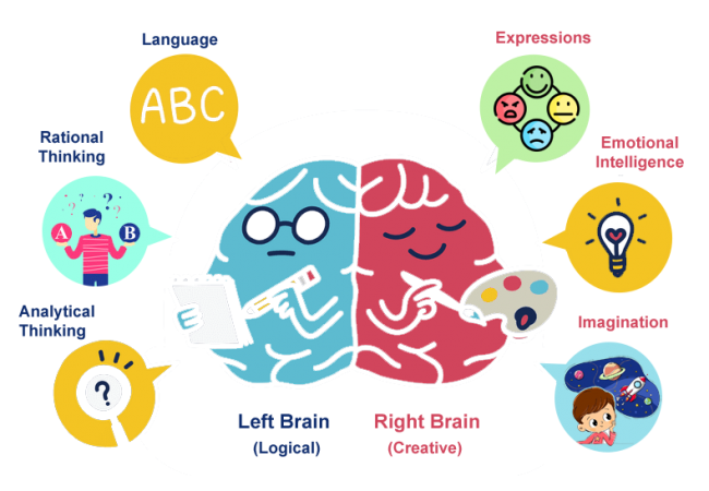 left-rightbrain