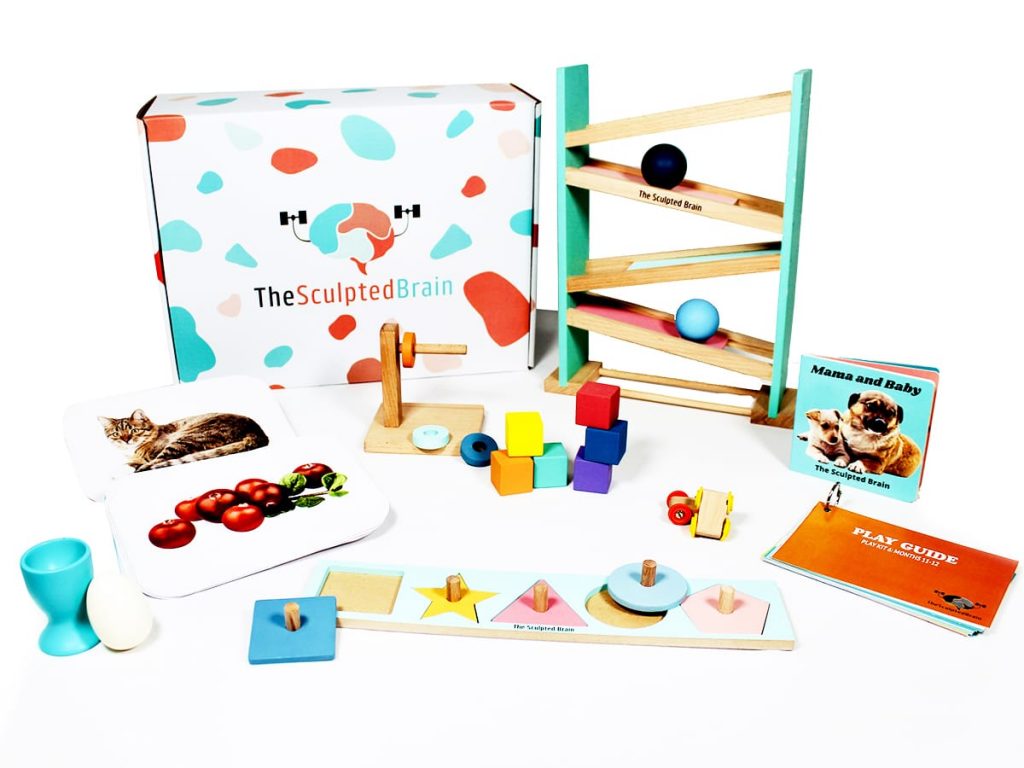 Development Play Kit 6 Months 1112 The Sculpted Brain