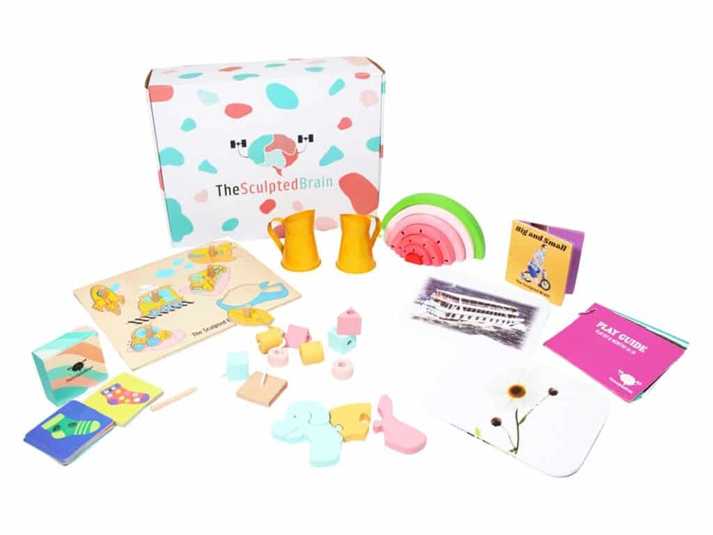 Development Play Kit 8 Months 16-18 – The Sculpted Brain