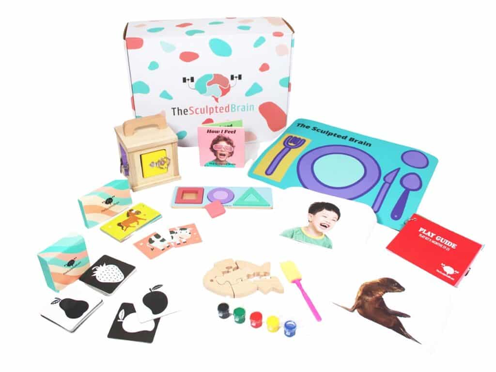 Development Play Kit 9 Months 19-21 – The Sculpted Brain