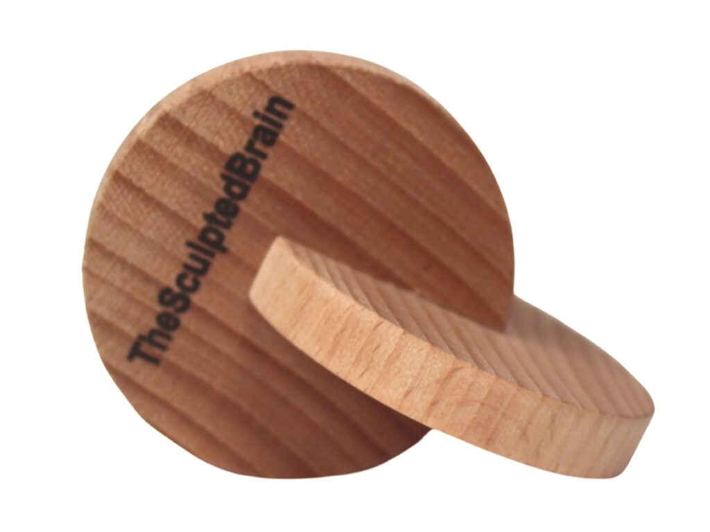 Interlocking Disc – The Sculpted Brain