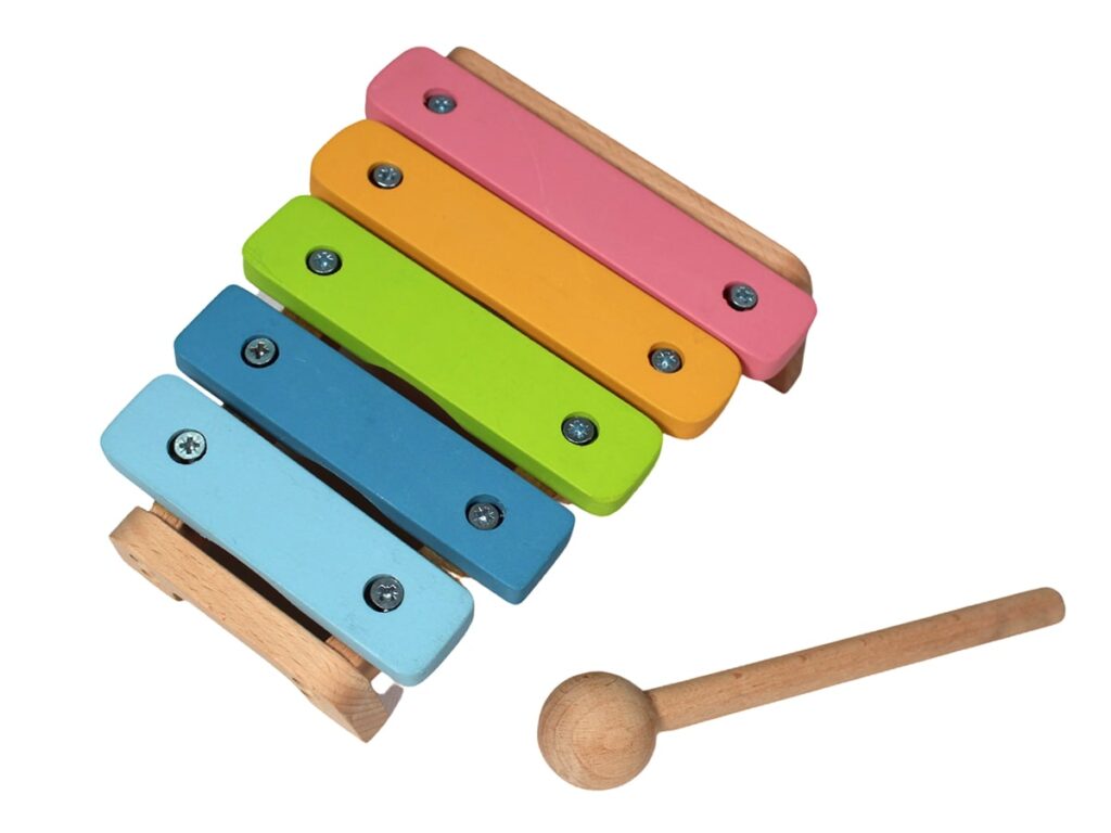 Xylophone The Sculpted Brain