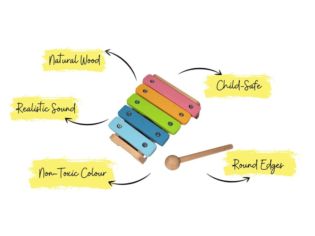 Xylophone The Sculpted Brain